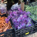 Purple kale from Jacob Grant Roots Organics at the Hollywood Farmers Market